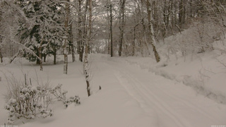 長野県菅平高原 ゆたか山荘 駐車場奥 2026/02/11 15:00