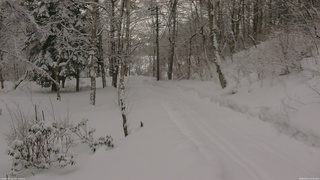 長野県菅平高原 ゆたか山荘 駐車場奥 2026/02/11 15:30