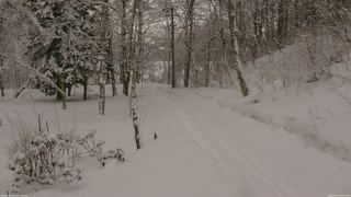 長野県菅平高原 ゆたか山荘 駐車場奥 2026/02/11 15:45