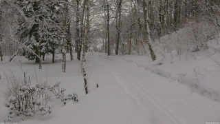 長野県菅平高原 ゆたか山荘 駐車場奥 2026/02/11 16:00