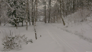 長野県菅平高原 ゆたか山荘 駐車場奥 2026/02/11 16:15