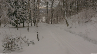 長野県菅平高原 ゆたか山荘 駐車場奥 2026/02/11 16:30