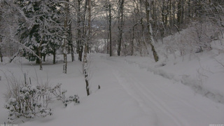 長野県菅平高原 ゆたか山荘 駐車場奥 2026/02/11 16:45