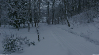 長野県菅平高原 ゆたか山荘 駐車場奥 2026/02/11 17:15