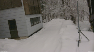 長野県菅平高原 ゆたか山荘 坂上 2026/02/11 14:00