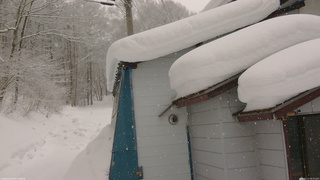 長野県菅平高原 ゆたか山荘 坂下 2026/02/11 08:30
