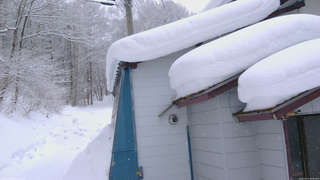 長野県菅平高原 ゆたか山荘 坂下 2026/02/11 09:00