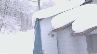 長野県菅平高原 ゆたか山荘 坂下 2026/02/11 13:00