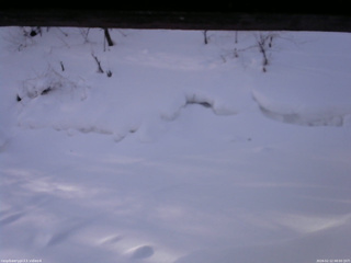 長野県菅平高原 ゆたか山荘 東側(坂下) 2026/02/12 08:00