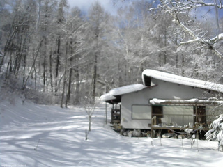 長野県菅平高原 ゆたか山荘 西側(坂上) 2026/02/12 10:45