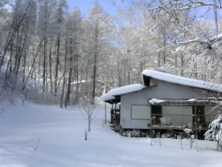 長野県菅平高原 ゆたか山荘 西側(坂上) 2026/02/12 11:00