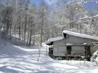 長野県菅平高原 ゆたか山荘 西側(坂上) 2026/02/12 11:45