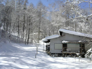 長野県菅平高原 ゆたか山荘 西側(坂上) 2026/02/12 12:00