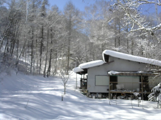 長野県菅平高原 ゆたか山荘 西側(坂上) 2026/02/12 12:30