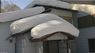 長野県菅平高原 ゆたか山荘 ゆたか山荘 2026/02/12 14:00