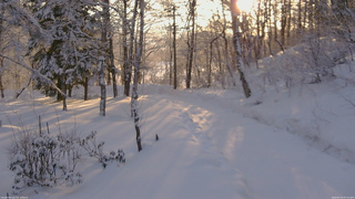 長野県菅平高原 ゆたか山荘 駐車場奥 2026/02/12 07:15