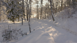 長野県菅平高原 ゆたか山荘 駐車場奥 2026/02/12 08:15