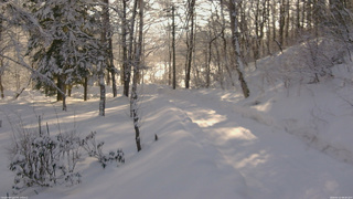 長野県菅平高原 ゆたか山荘 駐車場奥 2026/02/12 08:30