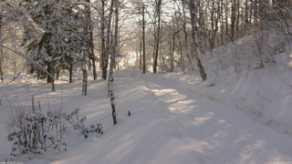 長野県菅平高原 ゆたか山荘 駐車場奥 2026/02/12 08:45