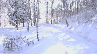長野県菅平高原 ゆたか山荘 駐車場奥 2026/02/12 09:00