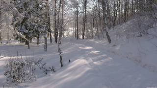 長野県菅平高原 ゆたか山荘 駐車場奥 2026/02/12 09:15