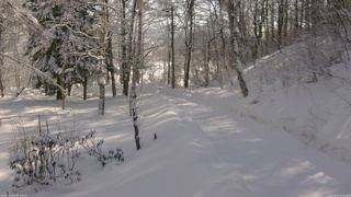 長野県菅平高原 ゆたか山荘 駐車場奥 2026/02/12 09:45