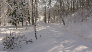 長野県菅平高原 ゆたか山荘 駐車場奥 2026/02/12 10:00