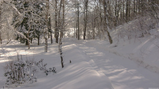 長野県菅平高原 ゆたか山荘 駐車場奥 2026/02/12 10:15