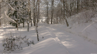 長野県菅平高原 ゆたか山荘 駐車場奥 2026/02/12 10:45