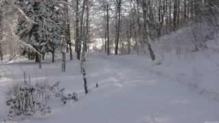 長野県菅平高原 ゆたか山荘 駐車場奥 2026/02/12 11:00