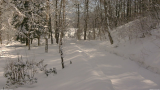 長野県菅平高原 ゆたか山荘 駐車場奥 2026/02/12 11:15