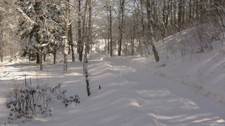 長野県菅平高原 ゆたか山荘 駐車場奥 2026/02/12 11:30
