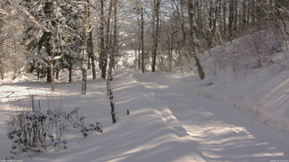 長野県菅平高原 ゆたか山荘 駐車場奥 2026/02/12 11:45