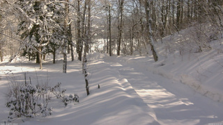 長野県菅平高原 ゆたか山荘 駐車場奥 2026/02/12 12:00