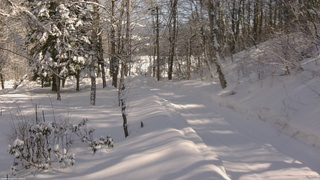 長野県菅平高原 ゆたか山荘 駐車場奥 2026/02/12 12:30