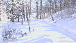 長野県菅平高原 ゆたか山荘 駐車場奥 2026/02/12 13:00