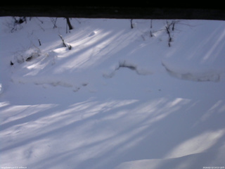 長野県菅平高原 ゆたか山荘 東側(坂下) 2026/02/13 14:15