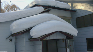 長野県菅平高原 ゆたか山荘 ゆたか山荘 2026/02/13 14:45