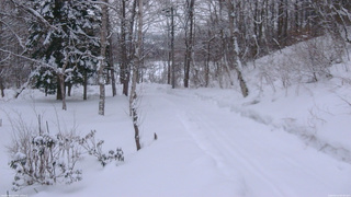 長野県菅平高原 ゆたか山荘 駐車場奥 2026/02/13 06:30