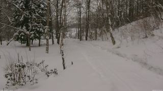 長野県菅平高原 ゆたか山荘 駐車場奥 2026/02/13 07:45