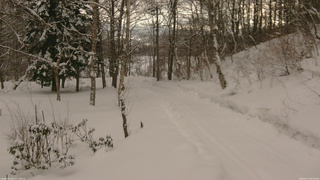 長野県菅平高原 ゆたか山荘 駐車場奥 2026/02/13 08:30