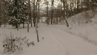 長野県菅平高原 ゆたか山荘 駐車場奥 2026/02/13 08:45