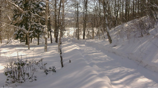 長野県菅平高原 ゆたか山荘 駐車場奥 2026/02/13 10:00
