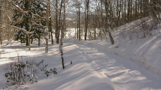 長野県菅平高原 ゆたか山荘 駐車場奥 2026/02/13 10:15