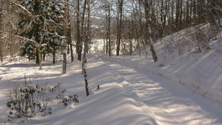 長野県菅平高原 ゆたか山荘 駐車場奥 2026/02/13 10:30