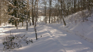 長野県菅平高原 ゆたか山荘 駐車場奥 2026/02/13 11:00