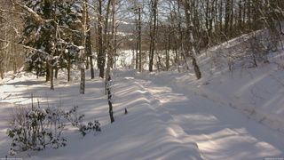 長野県菅平高原 ゆたか山荘 駐車場奥 2026/02/13 11:15