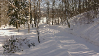 長野県菅平高原 ゆたか山荘 駐車場奥 2026/02/13 11:30