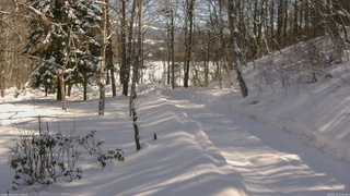 長野県菅平高原 ゆたか山荘 駐車場奥 2026/02/13 11:45