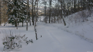 長野県菅平高原 ゆたか山荘 駐車場奥 2026/02/13 12:15